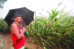 Hundreds Flee Floods As Super Typhoon Brushes Past Philippines - Gulf Times