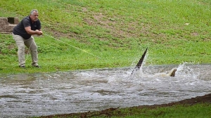 Hundreds evacuated as flood disaster unfolds in northeastern Australia