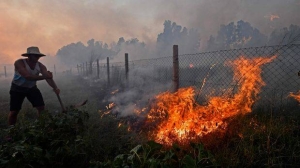 Hundreds battle wildfire threatening S. Africa naval base