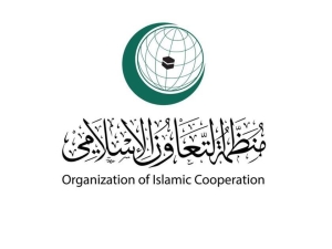 OIC condemns continued Israeli occupation’s crimes against Palestinian people