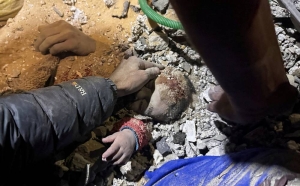 Baby saved from Gaza rubble after mother killed in Israeli strike