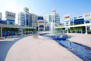 Successful IVF at Al Wakra Hospital results in birth of quadruplets ...