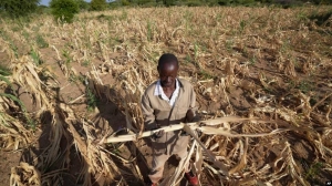 68mn suffering from drought in southern Africa, says SADC