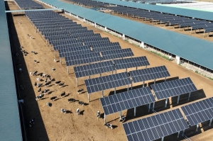 Australia greenlights world’s ‘largest’ solar hub