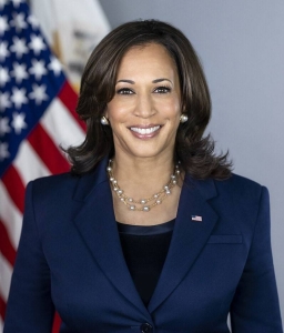 Kamala Harris formally accepts Democratic nomination for US President