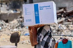 World Food Programme announces suspension of activities in Gaza Strip