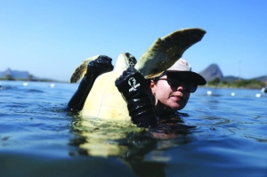 After water quality improves, scientists find sea turtles in Brazil get healthier