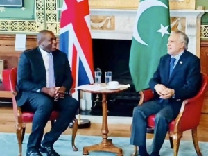 Pakistani, British Foreign Ministers discuss regional stability