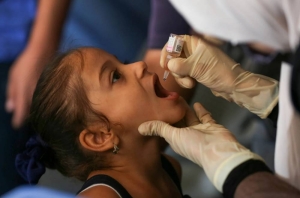 Gaza polio vaccination drive a ‘massive success’: WHO Chief