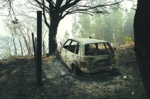 Portugal tackles last of the deadly northern forest fires