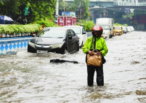 Trees, power lines flattened as Cyclone Dana hits India