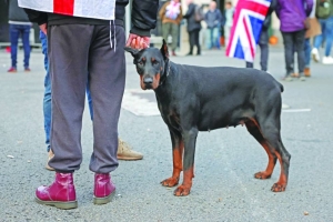 Rival London marches pass off peacefully amid heavy police presence