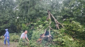 Typhoon damages 2 domestic airports in Northern Philippines