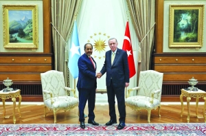 Erdogan meets separately with Somali, Ethiopian leaders amid conflict