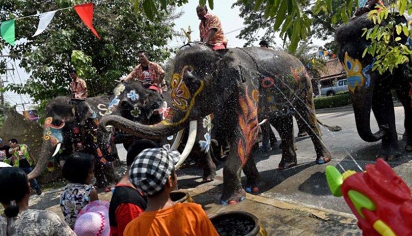 People take part in water battles with elephants as part of the new year celebrations