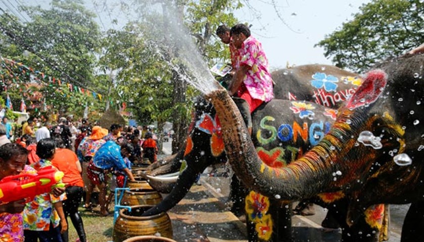 Elephants spray people with water in celebration of the Songkran water festival