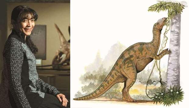 LEFT: Karen Chin, palaeontologist, RIGHT:  Scientists say the plant-eating dinosaurs were probably hadrosaurs, large duck-billed dinosaurs that ate plants and thrived in the area. And with rows of teeth housed in their mouths, they would have been one of the few of their plant-eating peers that could chomp through wood and even cuticle, too