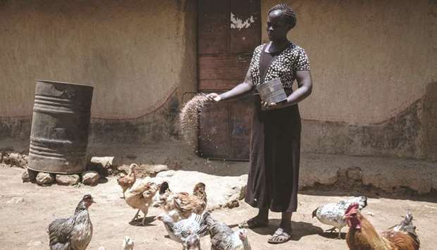 Monica, a villager of universal basic income study, feeds chickens at her home in Bondo region, western Kenya.