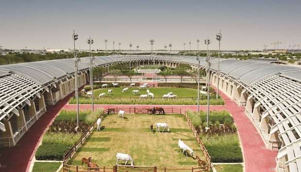 An aerial view of Al Shaqab.