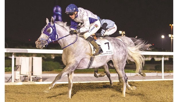 Jockey Tomas Lukasek leads Harab Al Naif to Asherij Cup victory at Al Rayyan Racecourse yesterday. PICTURE: Juhaim