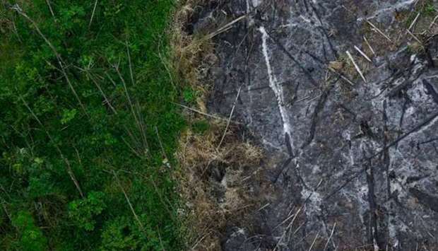 An area of the Amazon rainforest which has been slashed and burned stands next to a section of virgin forest, as seen from a police helicopter during the ,Hileia Patria, operation against sawmills and loggers who trade in illegally-extracted wood from the Alto Guama River indigenous reserve in Nova Esperanca do Piria, in Para State,