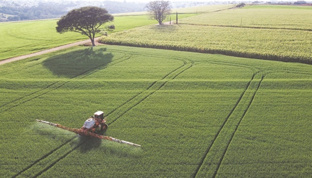 FILE PHOTO: A tractor sprays pesticides on wheat crops to be harvested this year, in Arapongas, Brazil.