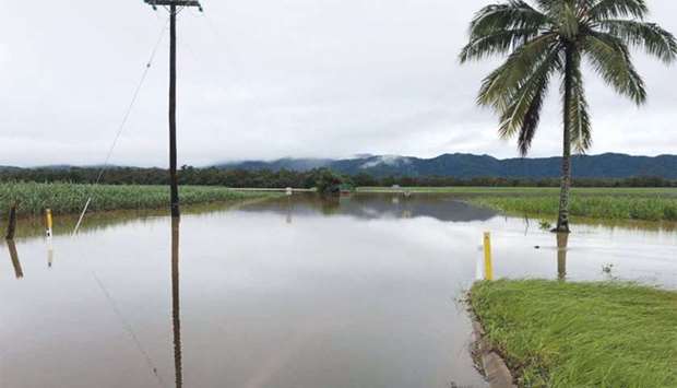 The Daintree River peaked at 12.6 metres, beating the previous record which was set in 1901.