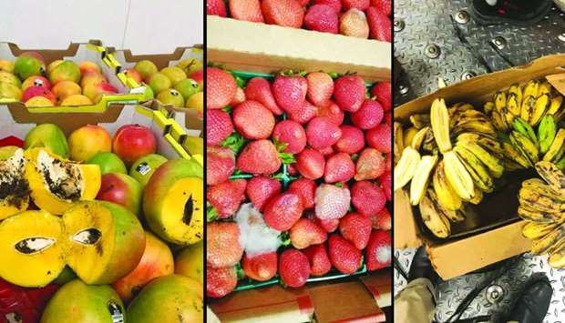 Fruits destroyed by quarantine officers after checks