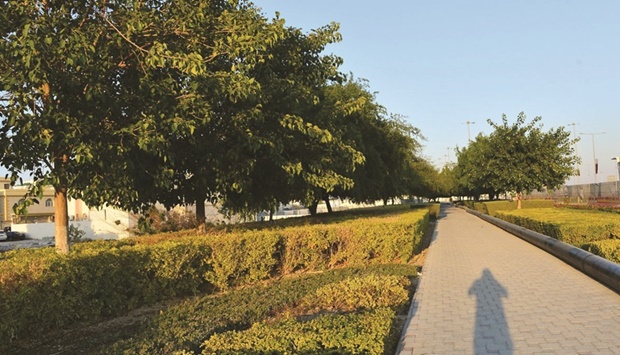 Caption: The linear park along E-Ring Road. PICTURE: Shaji Kayamkulam