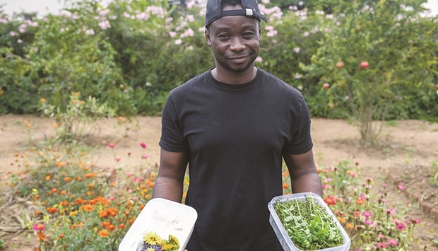 Dieuveil Malonga poses as he holds some freshly cut spices from the spices garden in Nyamata area, used as food preparation for his restaurant.