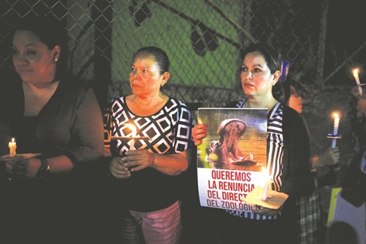 People participate in a protest over the attack and subsequent death of a hippo in San Salvador on Monday night.