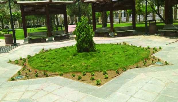 72,700 saplings were planted in municipal gardens at different locations, while about 993,800sqm of green areas were mowed at a number of places.