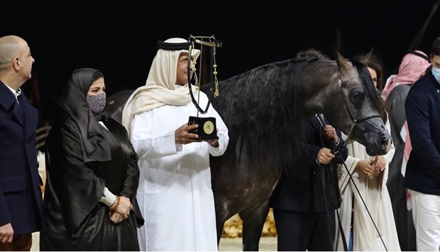 The 31st Qatar International Arabian Horse Championships Title Show at KIAHF 2022 continued with action.