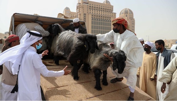 The 10th edition of Halal Qatar Festival, which started on Monday at the Southern area of Katara - The Cultural Village, will continue until Saturday with three main categories of competitions of the most beautiful sheep and goats.