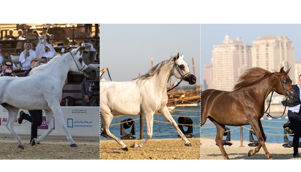 Ehsan Al Shahania, Mashhoorah Al Shaqab and Majda Al Waab