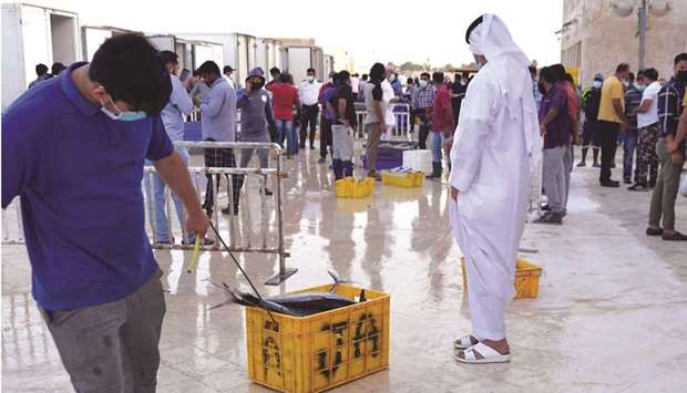 From the Al Wakra fish market.rnrn