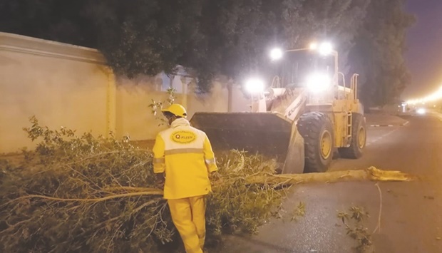 Removal of fallen trees and accumulated sand from different places.