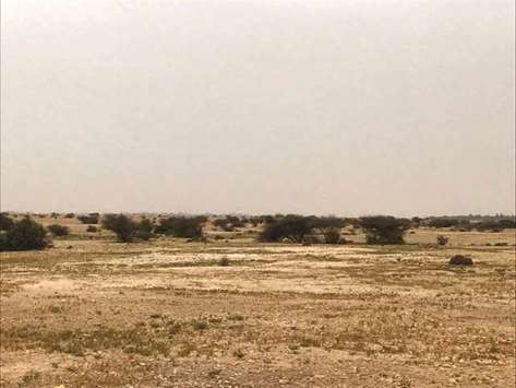 A view of a protected area in Qataru2019s desert.