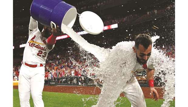 St Louis Cardinals Cards Win GIF - St Louis Cardinals Cards Win