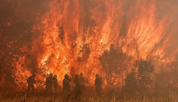 Firefighters operate at the site of a wildfire in Pumarejo de Tera near Zamora, northern Spain, on June 18, 2022. 