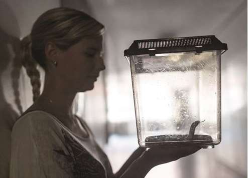 A German army soldier holds a poisonous snake box at a reptile sanctuary in Munich. The sanctuary, the only one of its kind in Germany, teaches soldiers how to protect themselves as well as the animals.