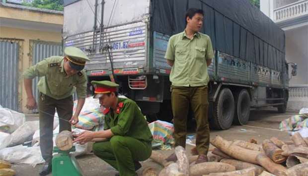 A policeman and a customs officer inspect seized ivory transported on a truck in the central Vietnamese province of Thanh Hoa. 