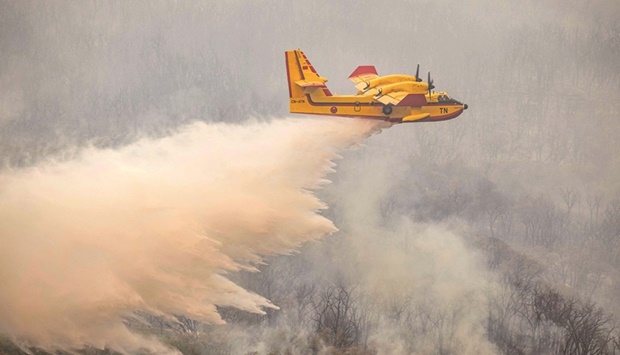 A Royal Moroccan Air Force Canadair CL-415 firefighting aircraft douses a wildfire with retardant spray to extinguish a wild forest fire raging near the Moroccan city of Ksar el-Kebir, in the Larache region last Friday. (AFP)