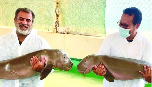 Officials with Oscar and Ocean