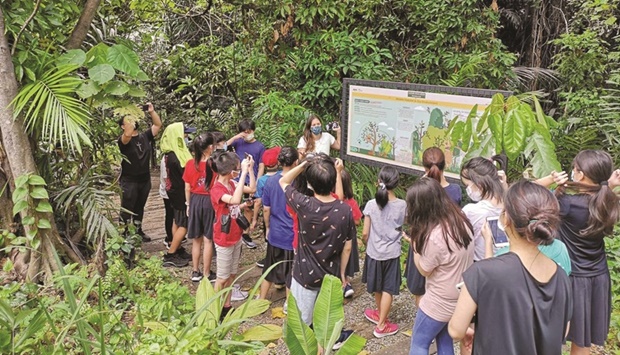 A group look at a nature education programme sponsored by a bank at Kuala Lumpuru2019s Taman Tugu tropical forest park in Kuala Lumpur last March.