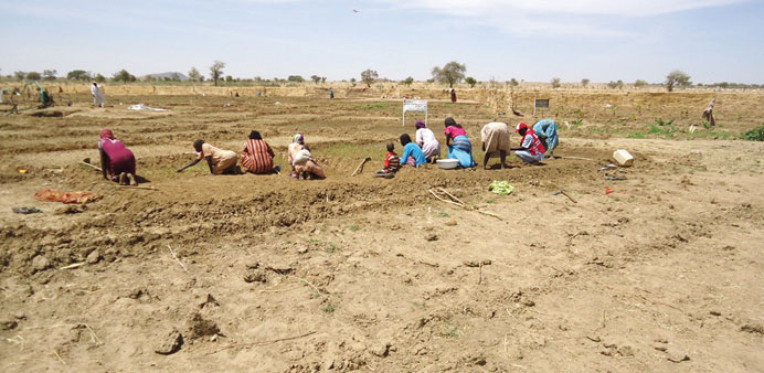 A QRC project: helping farmers make a living.