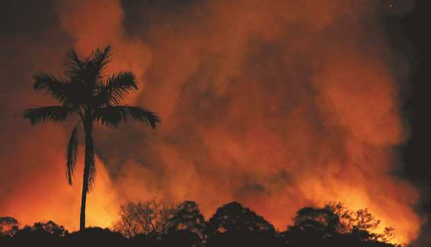 Brazil’s Amazon basin fires keep surging - Gulf Times