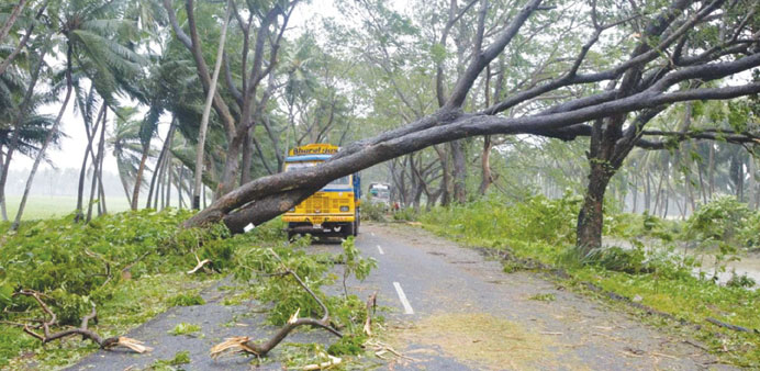 A road is blocked by fallen trees at Narasapuram in east Godavari district of Andhra Pradesh yesterday.